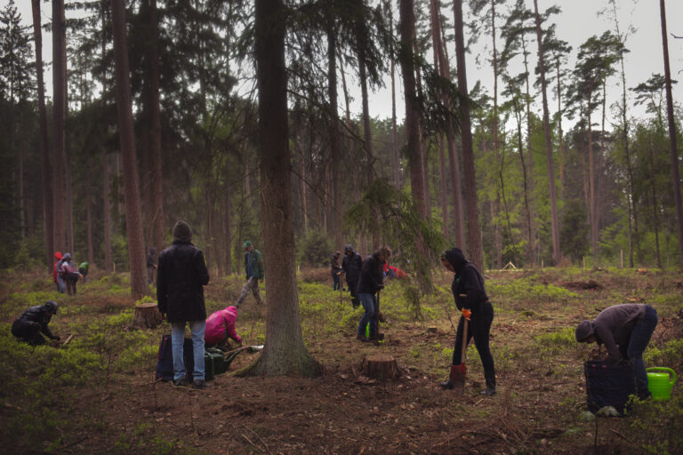 Klimawald2019_AhramChae_5