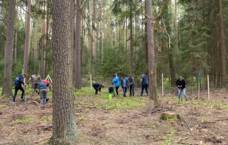 klimawald_bayreuth_071_27-april-2019_46809649475_o