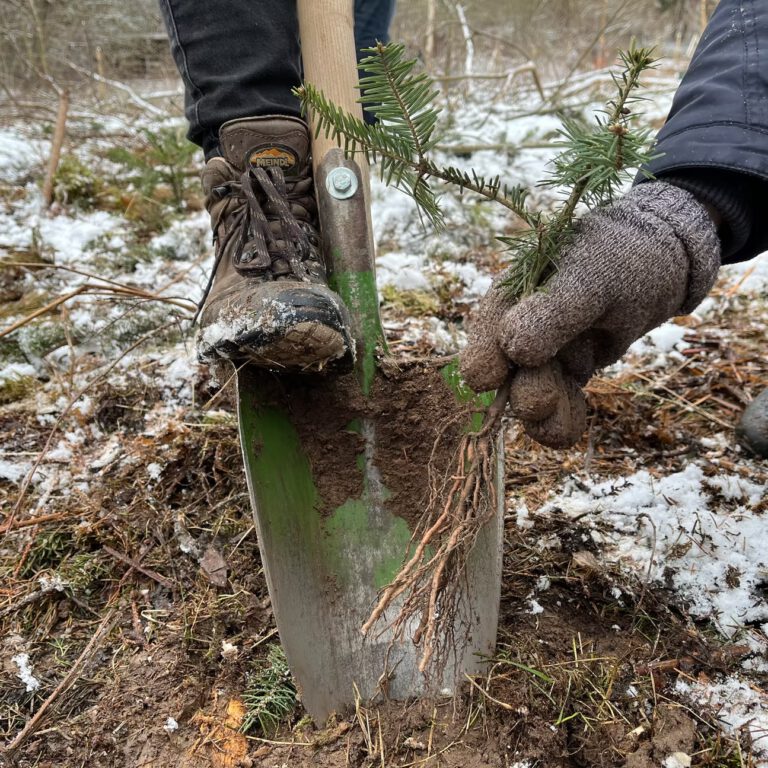 40d985_09283a8da9b14ff4b350e62af4ff9790~mv2