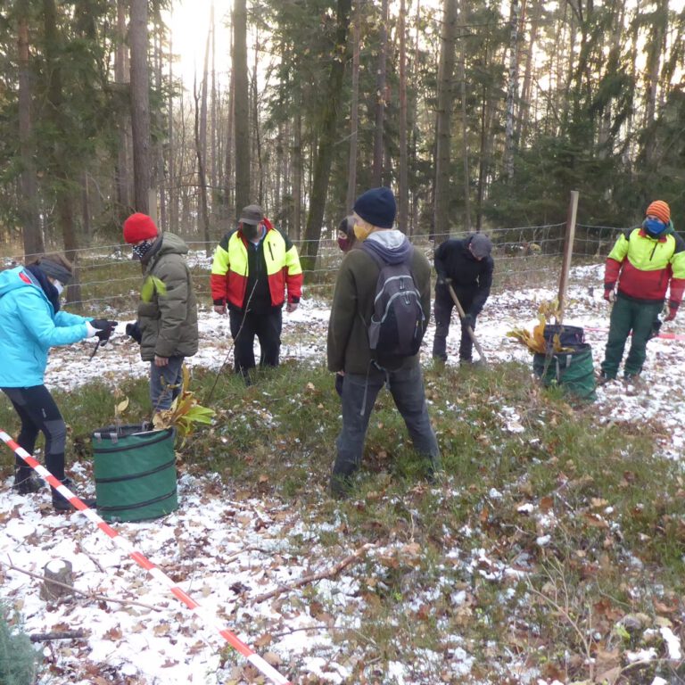 40d985_106055dd5f034a748a58b7ad704536e1~mv2