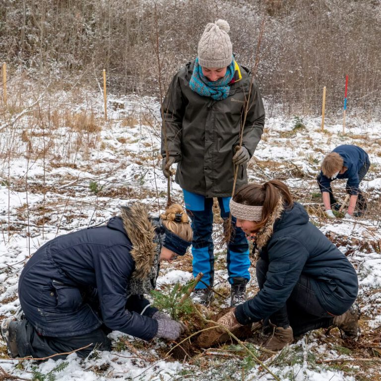 40d985_1a13decb4883452791a22a0eb563022f~mv2