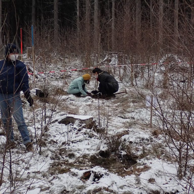 40d985_2008d9d40da741febf505fd743ba5641~mv2