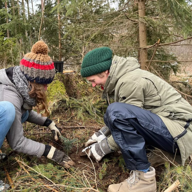 40d985_2037cb91b9654e85836ea67a3d46d3aa~mv2