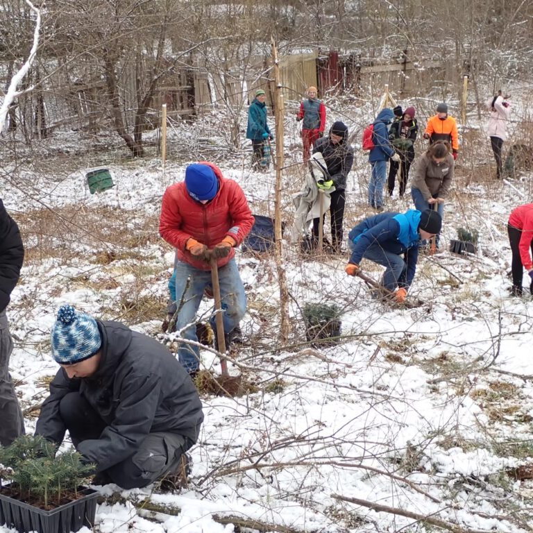 40d985_2d364026a9ec465397fc395ee2a80ed8~mv2