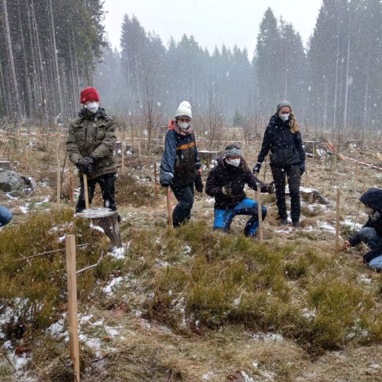 40d985_348ccd3181ab4226abd57fd090e64557~mv2