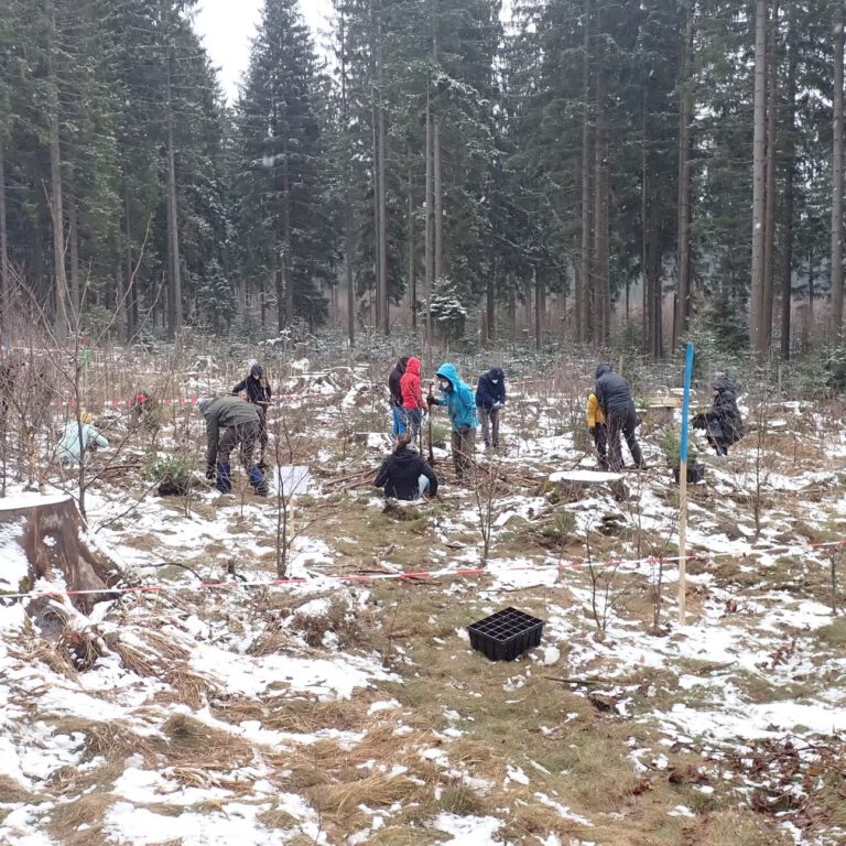 40d985_37def93fce6c423290c972af1cfd2c0e~mv2