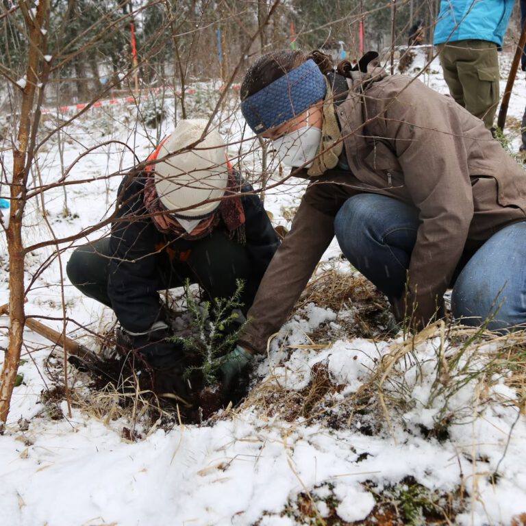 40d985_3c109c6398f54afeb4167dee3b6f4e95~mv2