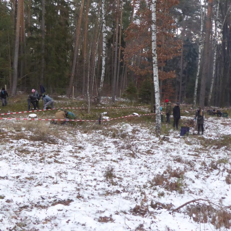 40d985_4e1b26b0087345f4a897534a823bce0b~mv2