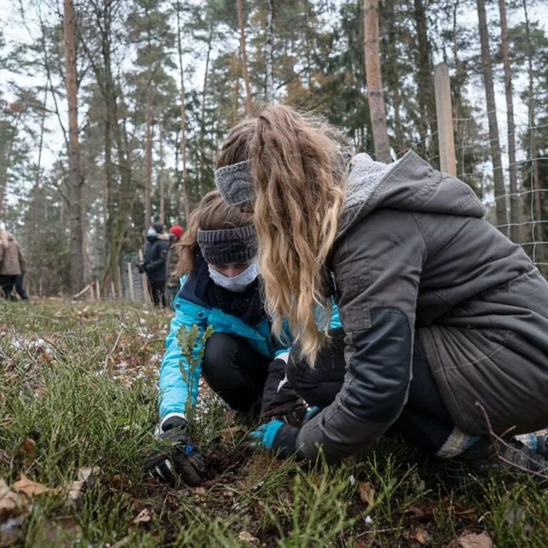 40d985_6041af300f344fdbbd8b9aabcc74eb26~mv2