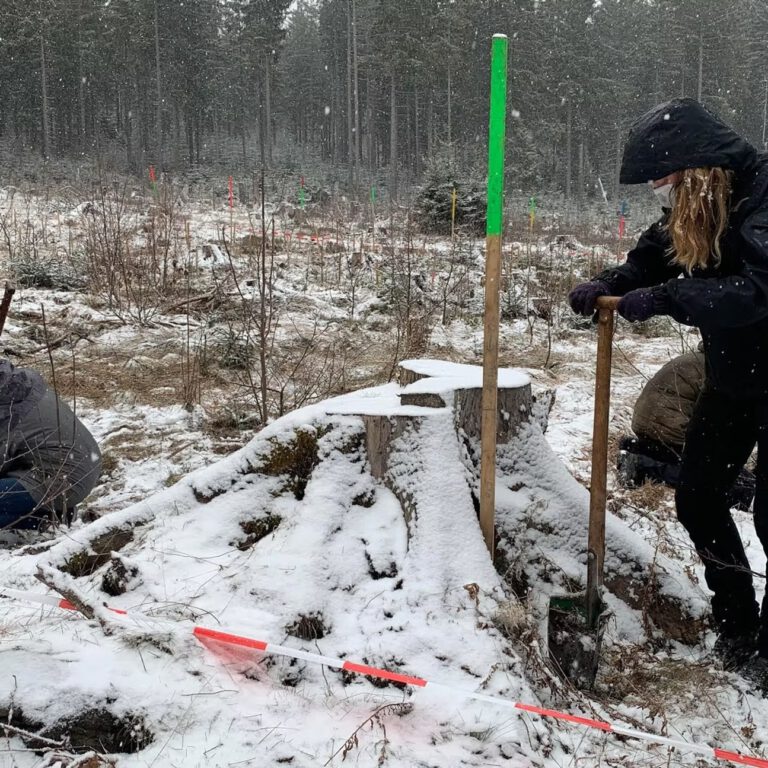 40d985_6b310659876a4516b15a85f2845ae6c9~mv2