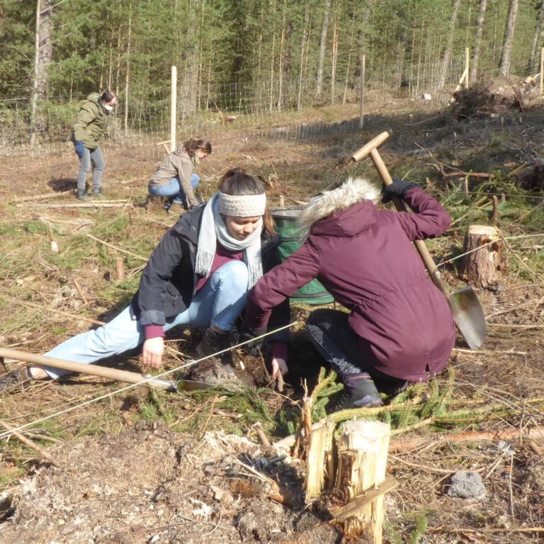 40d985_79613f34ca7f415bacc0670308b00894~mv2