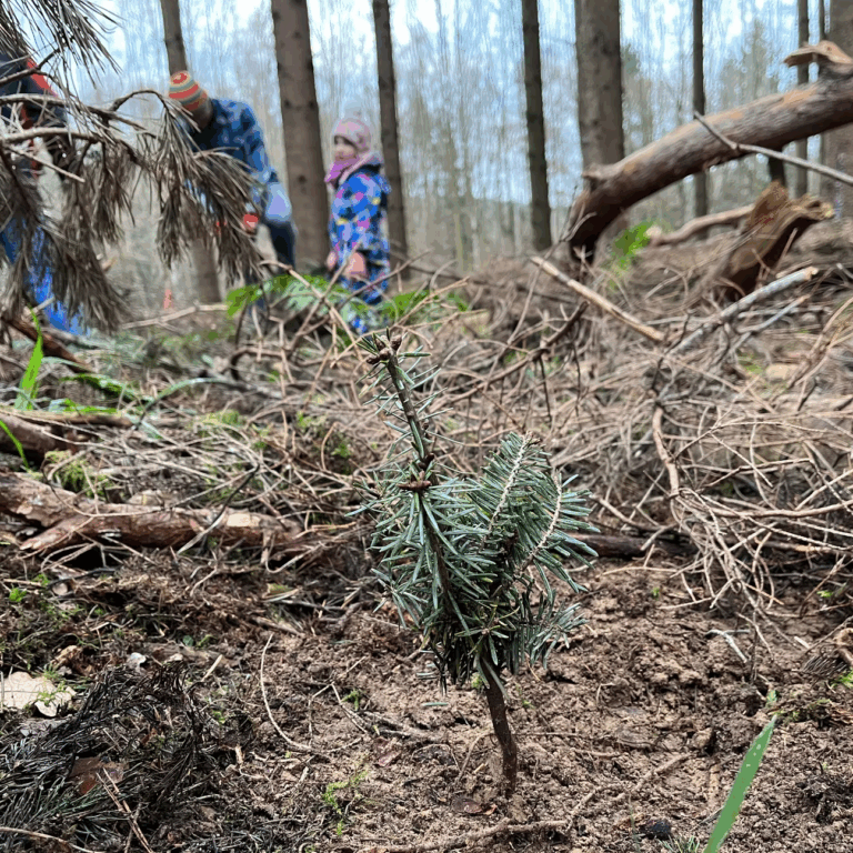 40d985_a292e2a8b119426eb0118e1ca8182242~mv2