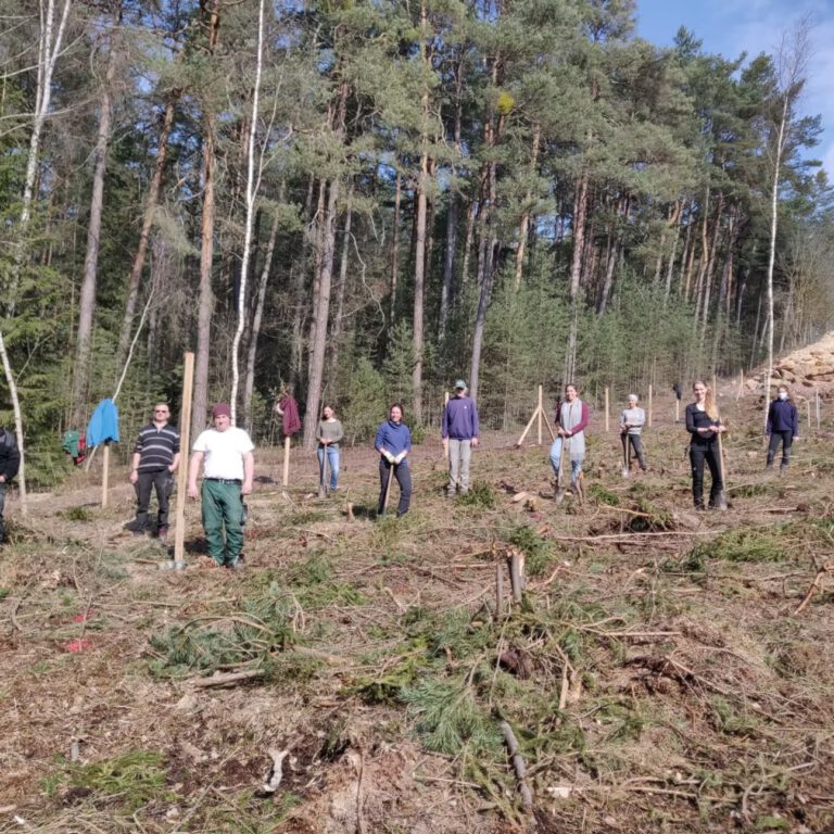 40d985_c992e97259a346d6bc60478a0769c183~mv2