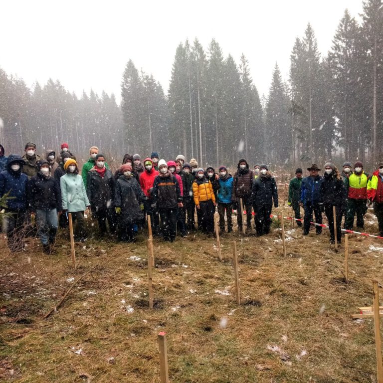 40d985_d7af3b1deb9d442ea69dd31bf87db978~mv2