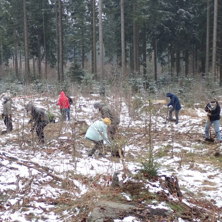 40d985_d7afc564216e439f945d24f71a1e4a59~mv2