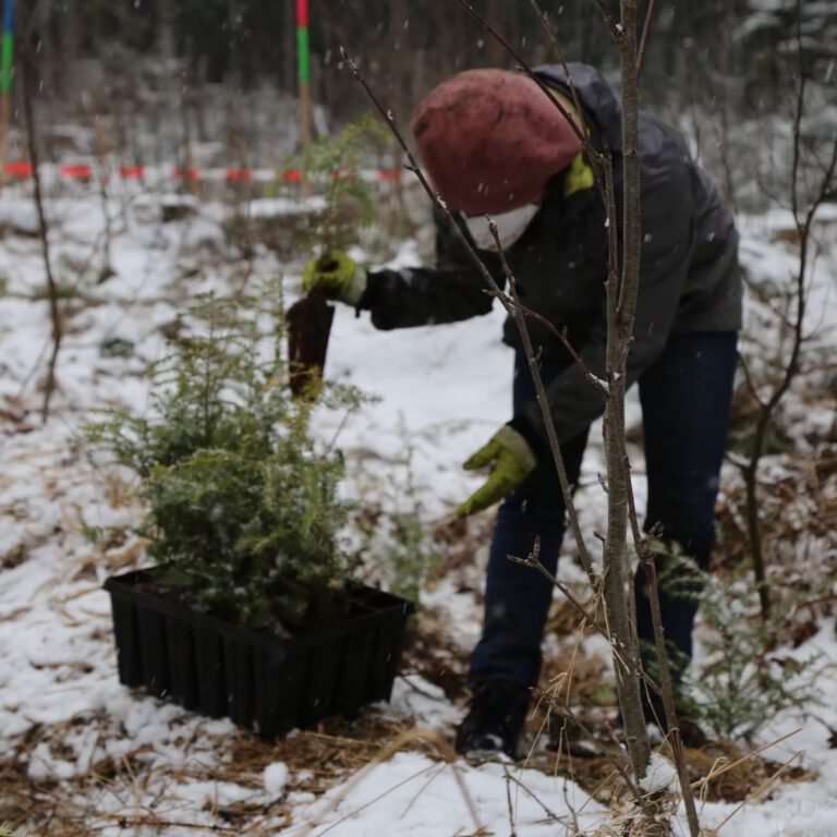 40d985_de114a0726964c62919478f0e16537dc~mv2