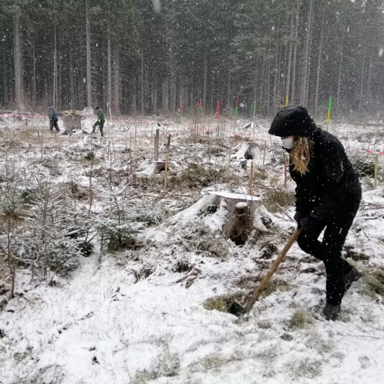 40d985_e67a72e8319444df8b912ac4ee325d6c~mv2