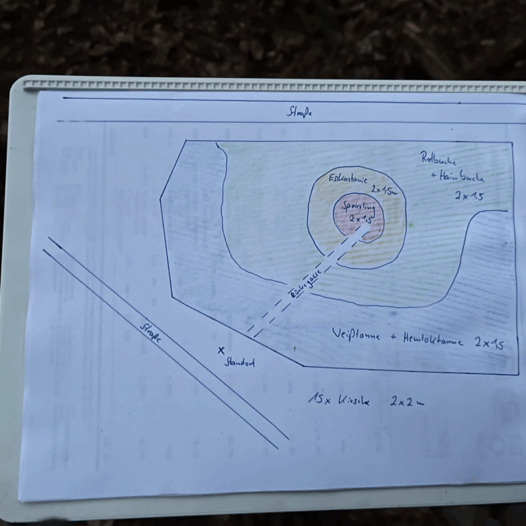 40d985_f01f3a174a954fbd83a9d52381164cab~mv2