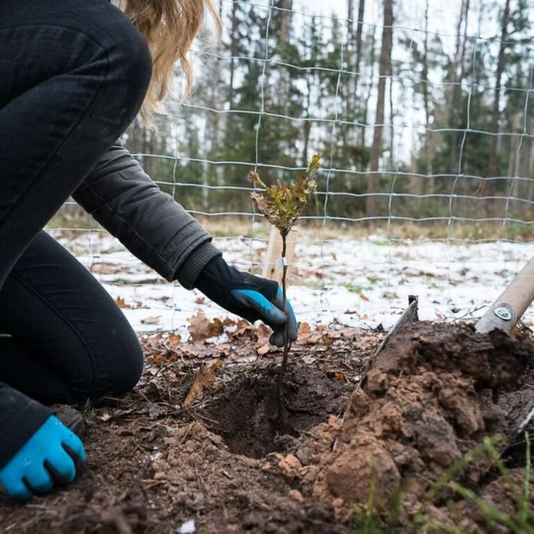 40d985_f564dd15a74d4ae6b092dd6453a8377d~mv2