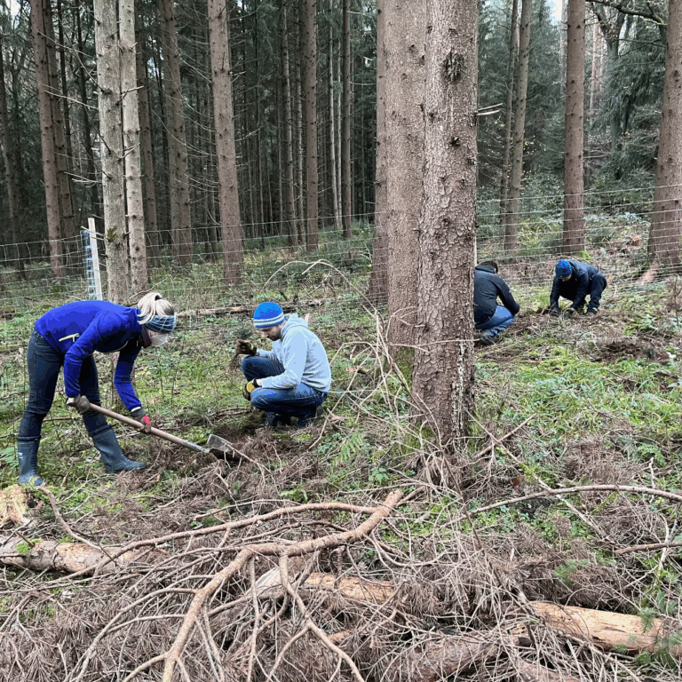 40d985_f868c42b336d467cbbcb6b16e0857f3c~mv2