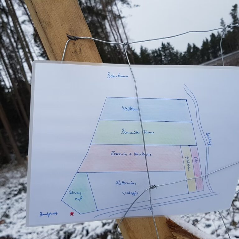 40d985_fd5650fe8cde4654b6034229e6d6c787~mv2