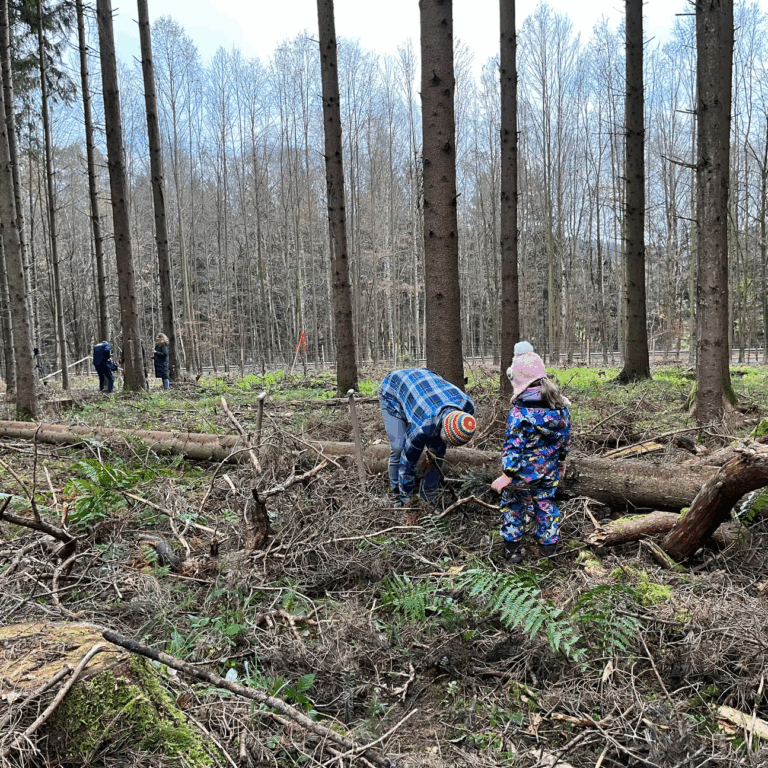 40d985_fd78532bef84404d90f1ded465caa554~mv2