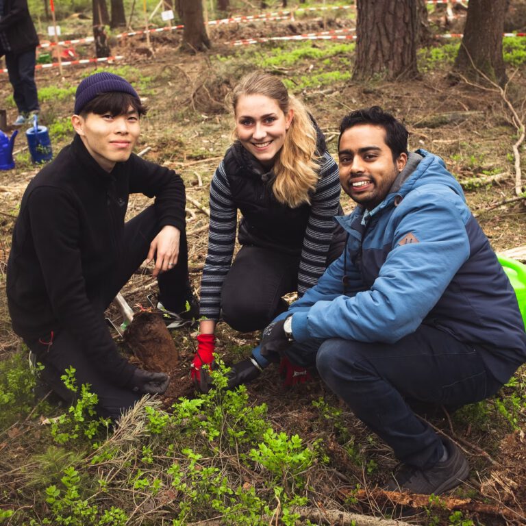 d8d507_0d8698a514a14dd6be0eecdcead71055~mv2