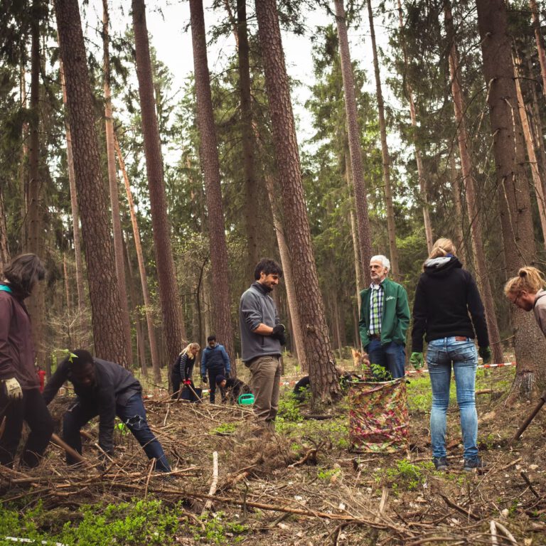 d8d507_54b97c9df5a34e769537d18506280f69~mv2