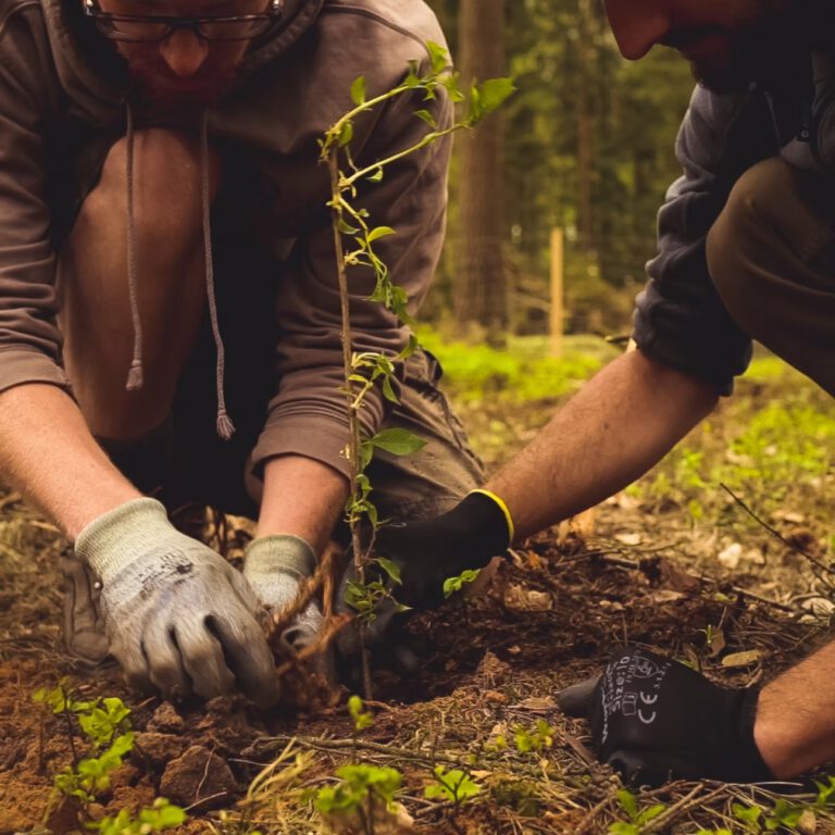 d8d507_862e8712b1344496948ab6f13eabf817~mv2