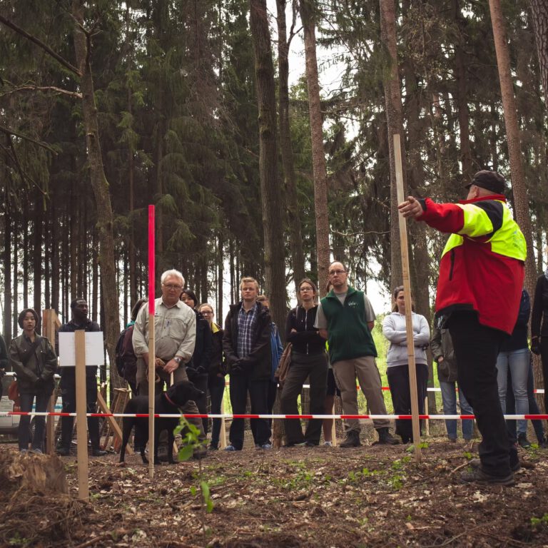 d8d507_86e89af83f194f79844b52cddacf9581~mv2