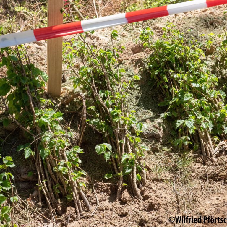 d8d507_a4ea0a91af0848b9b0e3767b3689df14~mv2