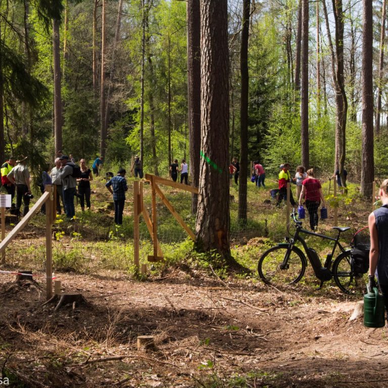 d8d507_a812402e76a04919964f0bb021a2612d~mv2