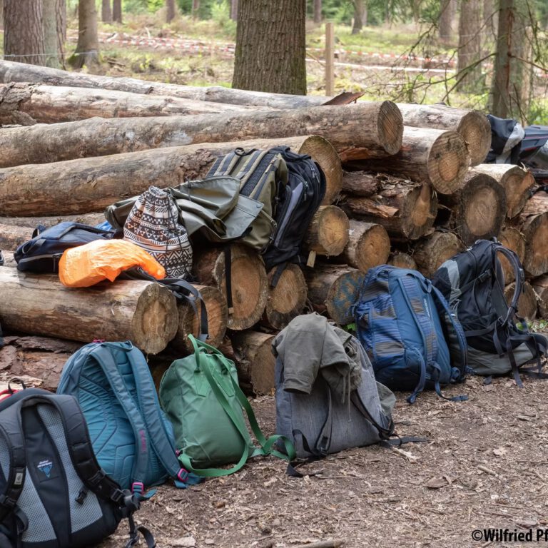 d8d507_b6e1d28fae4a4632a18693ea102de42c~mv2