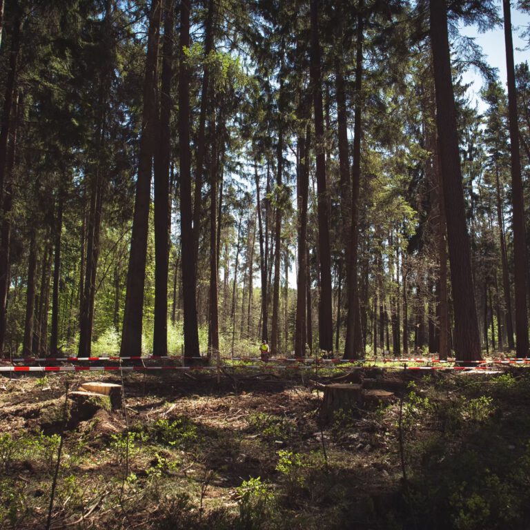 d8d507_ba1792f1be2645569261bb61fe615316~mv2