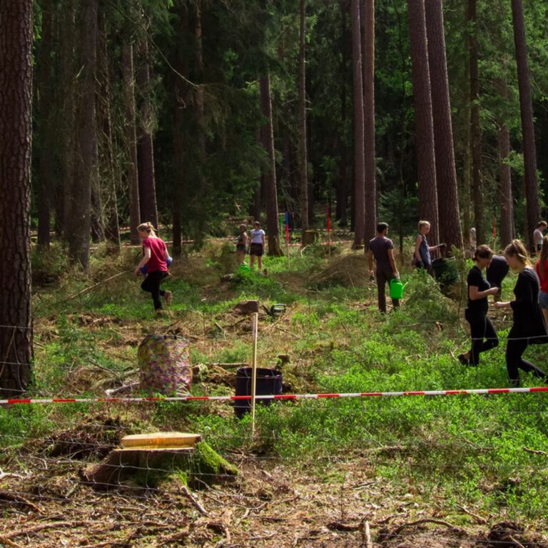 d8d507_cb44853c2751423e9399dfcb69d5caba~mv2