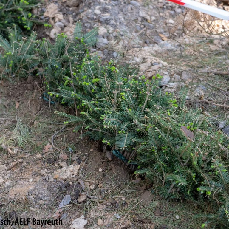 d8d507_ed59cfa8325a47379e150630365941ba~mv2