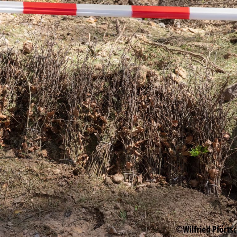 d8d507_fc294c573eed40f8b0ad482c918736ba~mv2